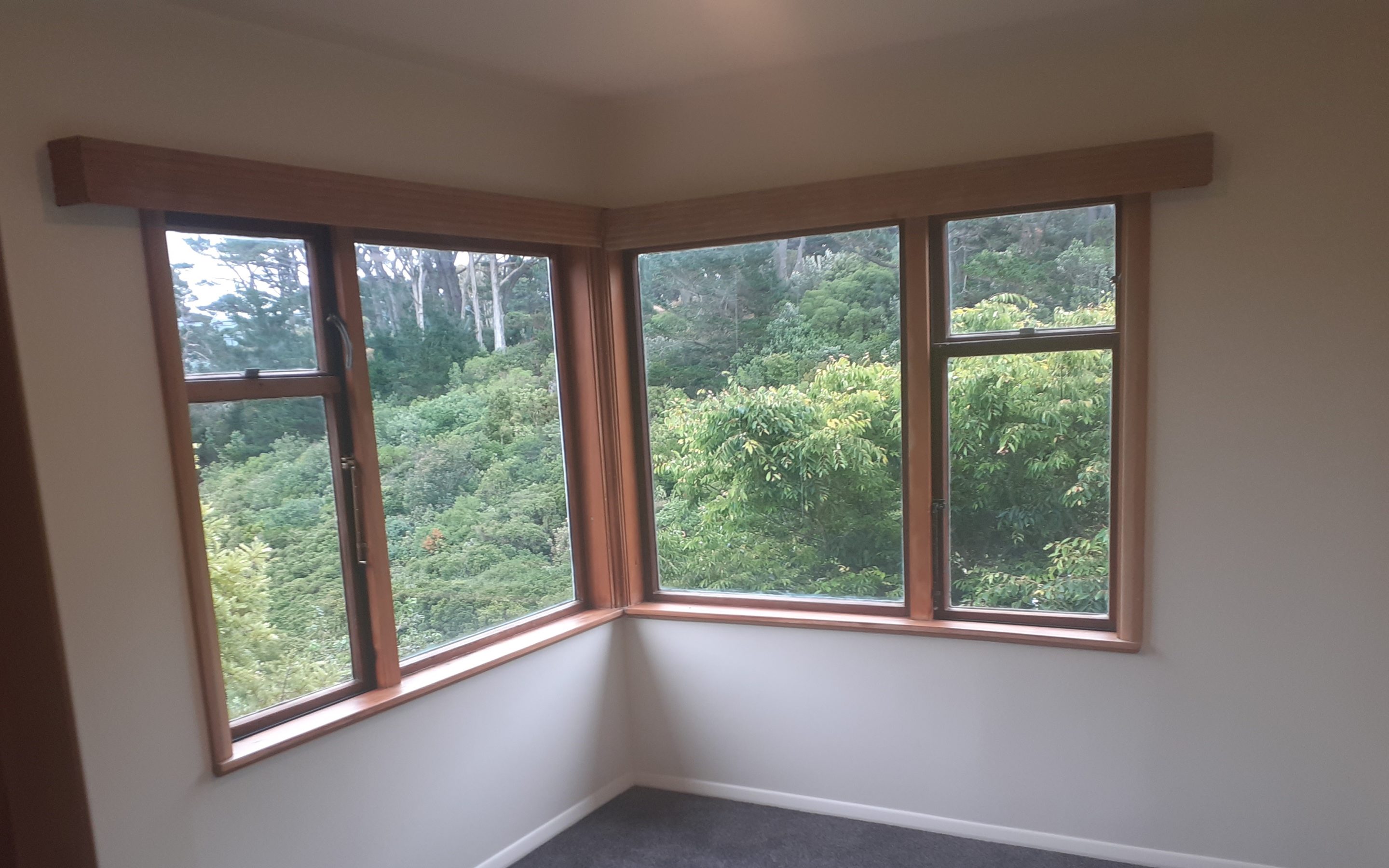 Interior Painting Wellington